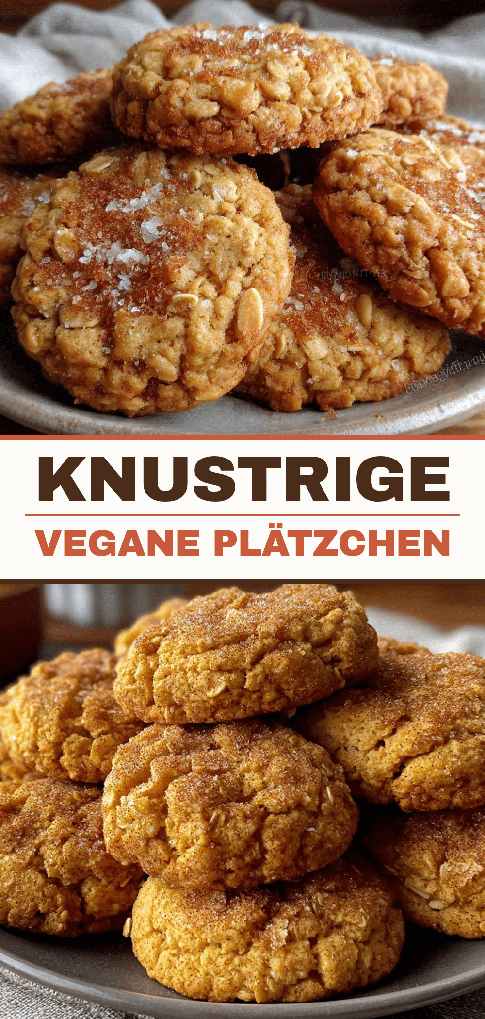 Vegane Zimt Hafer Plätzchen: 6 Schritte zu perfekten Weihnachtskekse 5 vegane Zimt Hafer Plätzchen recipe